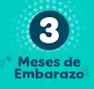 3 meses de embarazo
