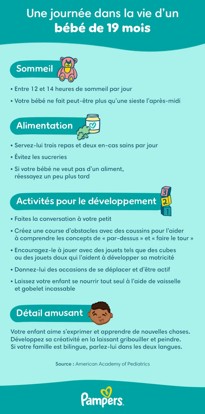 Journée type d’un bébé de 19 mois Journée type d’un bébé de 19 mois
