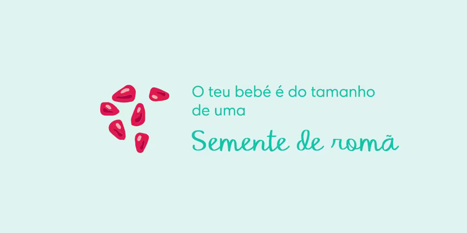 AS3_2