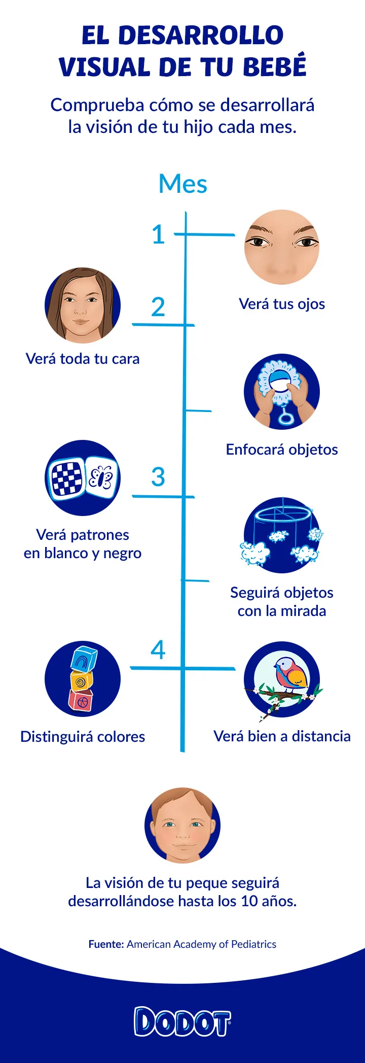 Desarrollo de la vista del bebé Desarrollo de la vista del bebé