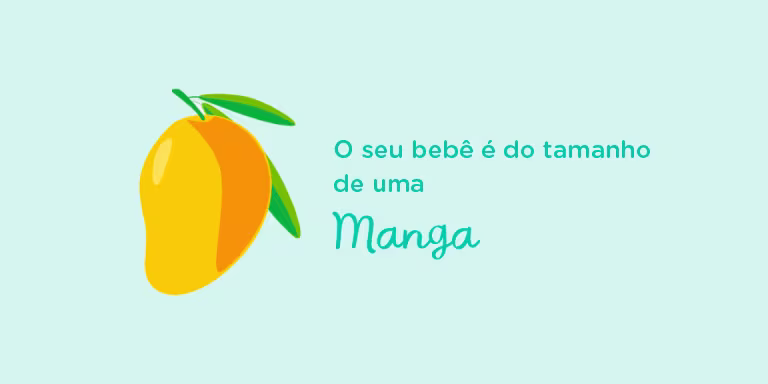 Your baby is the size of a mango