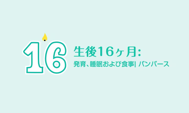生後16ヶ月の幼児: よちよち歩きの世界