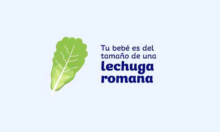 Semana 36 de embarazo