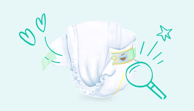 استعراض كامل لبامبرز new Baby-Dry ومكوناته المُفصلة: طبقة أساسية ماصّة وطبقة علوية وأخرى خلفية والأربطة المطاطة.
