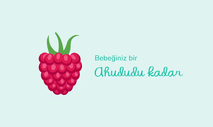 Your baby is the size of a raspberry