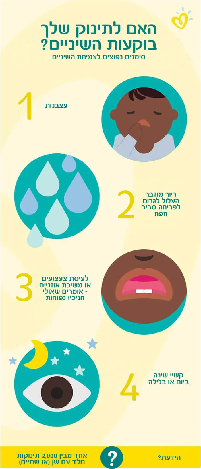 בקיעת שיניים אצל תינוקות-Article Content Image baby_teething_info_700