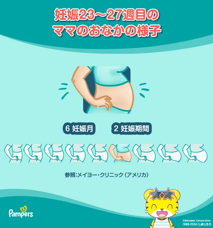 27週目の妊娠中のママのおなかのイメージ