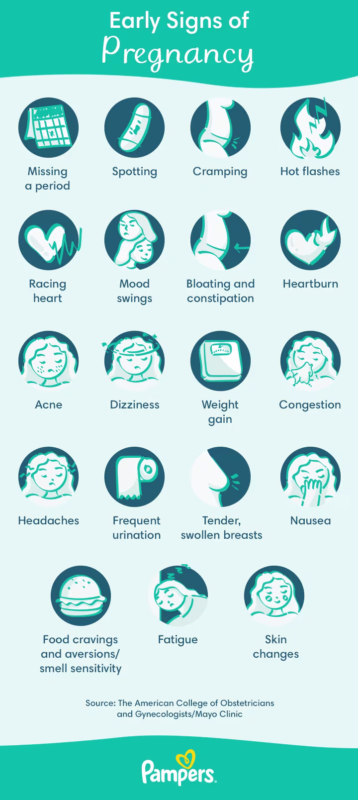Infographic titled “Early Signs of Pregnancy” listing common early pregnancy symptoms with illustrated icons.
