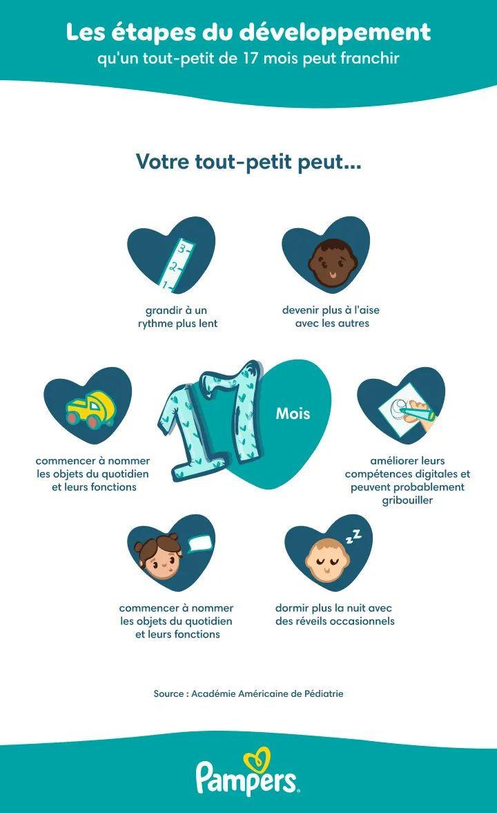 Étapes de développement du bébé à 17 mois
