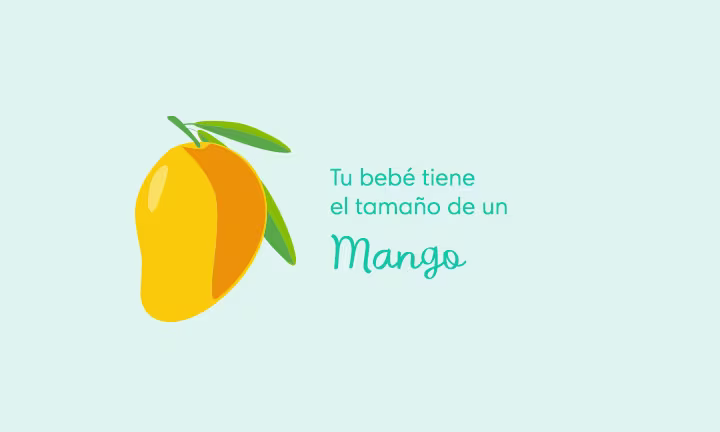 19 Semanas de Embarazo