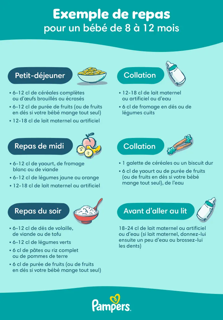 Un exemple de plan de repas pour les bébés