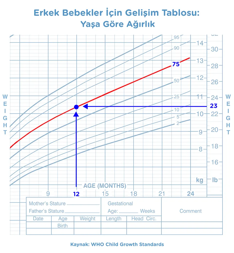 bebek gelisim tablosu-Article Content Image4 Baby-Growth-Chart_boy_TR_Age_960