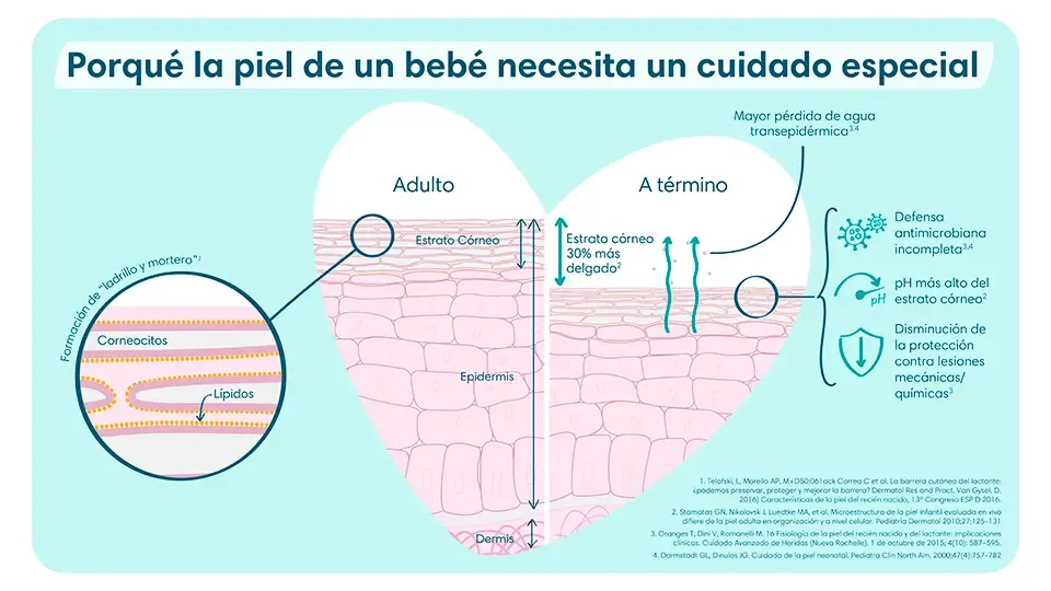 Diferencias de una piel a término vs una piel de adulto
