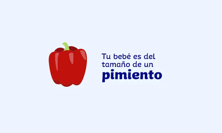20 semanas de embarazo tamaño del bebe