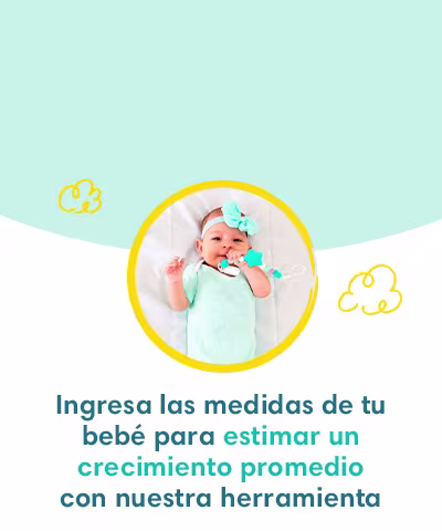 M_medidas bebé