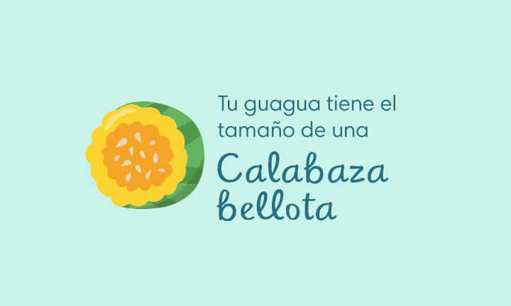 Desarrollo de la guagua en la Semana 25 de embarazo