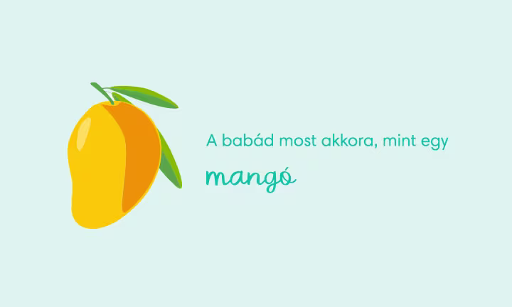 pregnancy-week-by-week-week-19