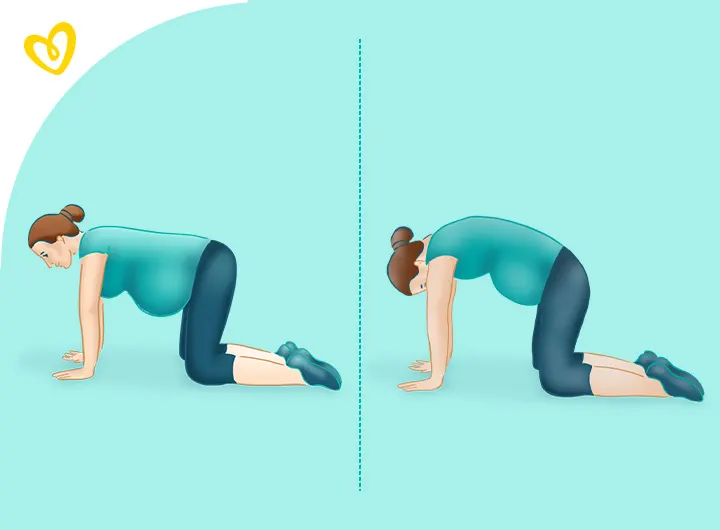 Four-point kneeling exercise. Four-point kneeling exercise.