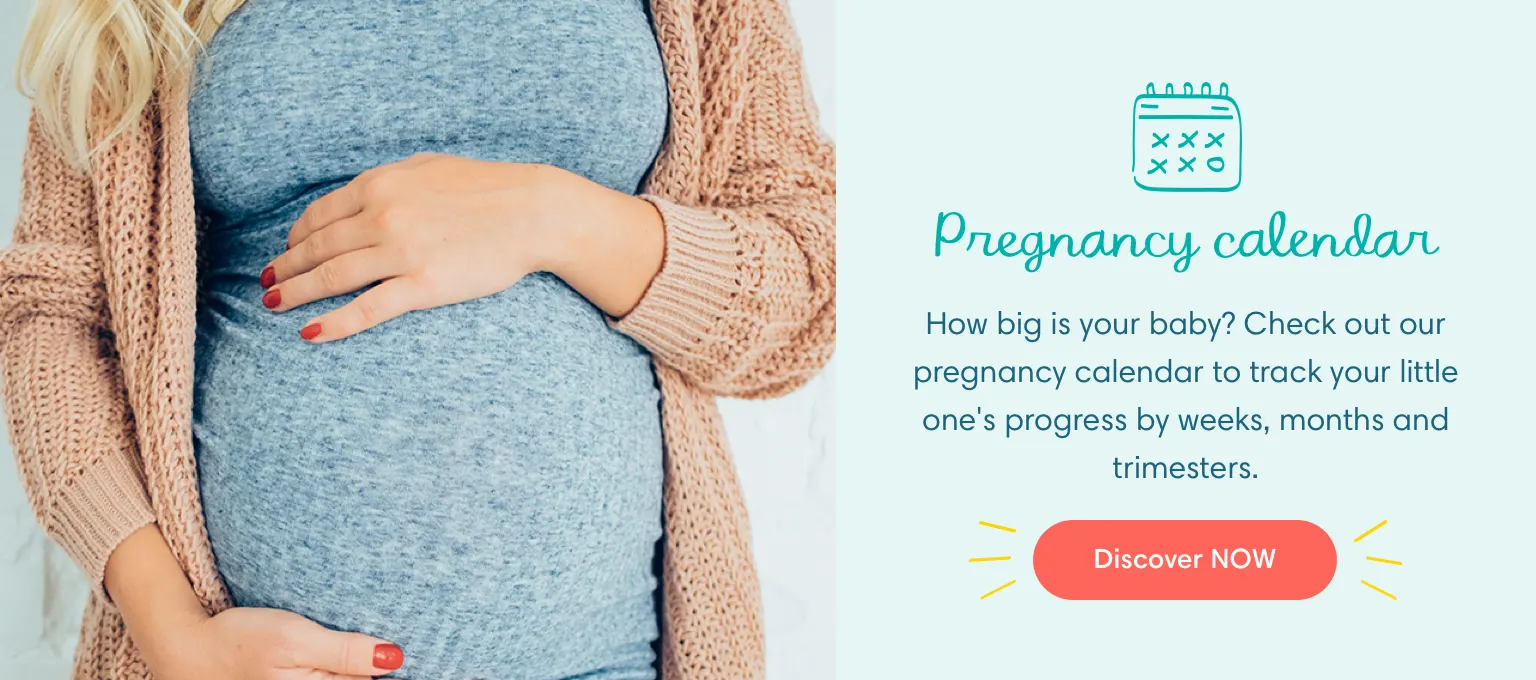 PREGNANCY CALENDAR BANNER