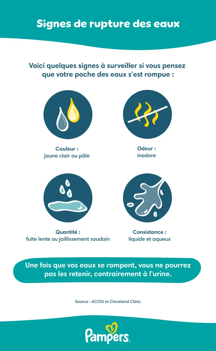 Signes d'une perte des eaux