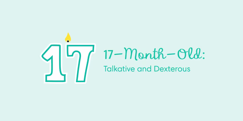 17 old milestones