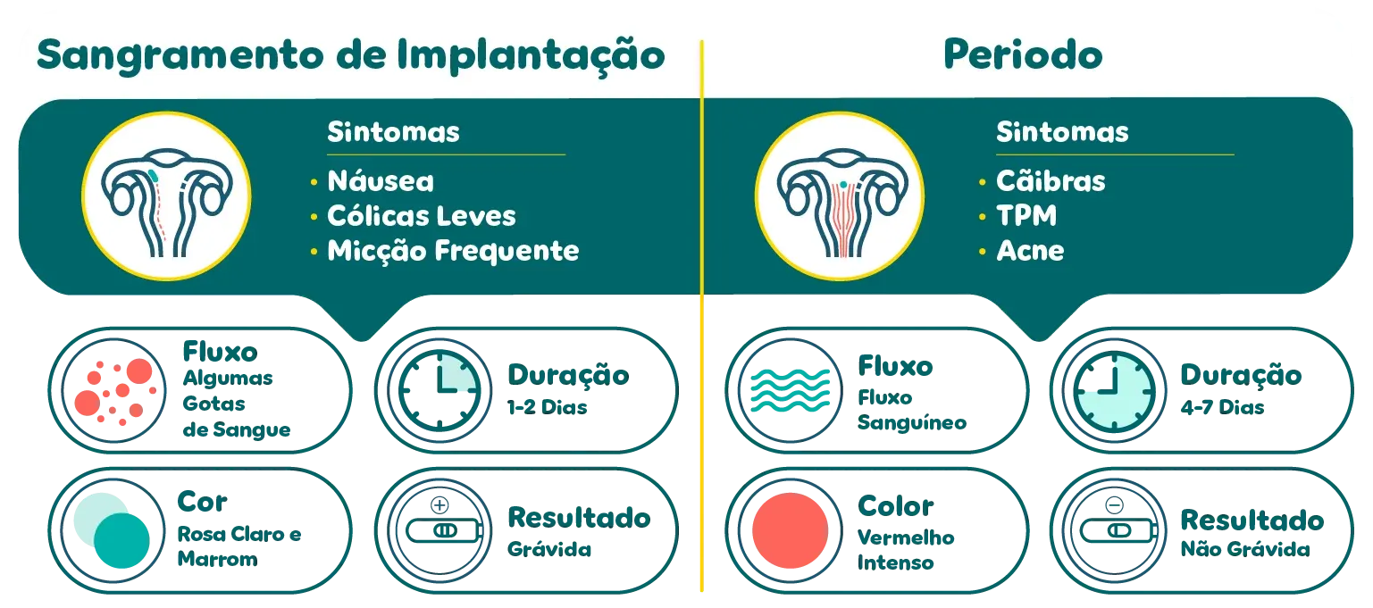 Período Menstrual | Pampers Brasil® Período Menstrual