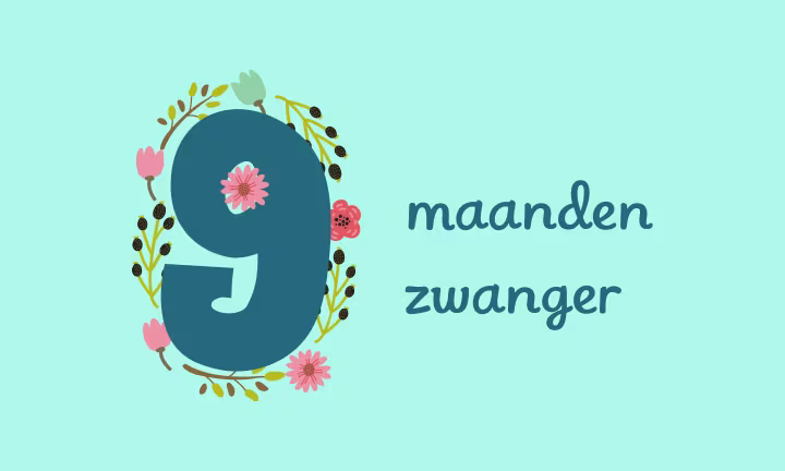 9 maanden zwanger