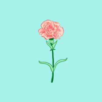 January Birth Flower