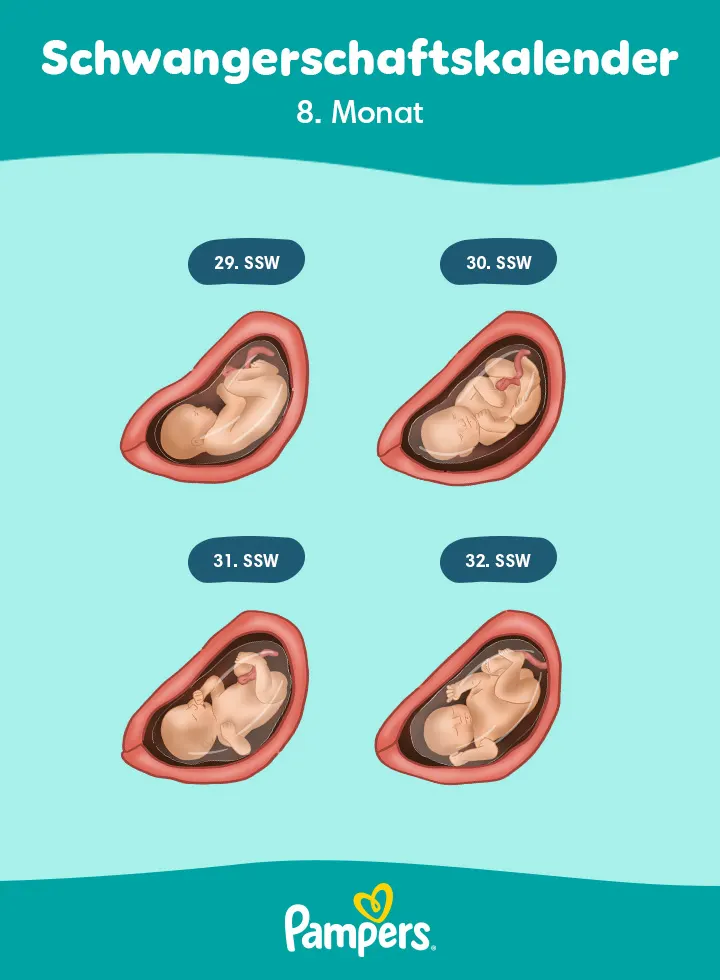 Positionen des Babys im 8. Monat