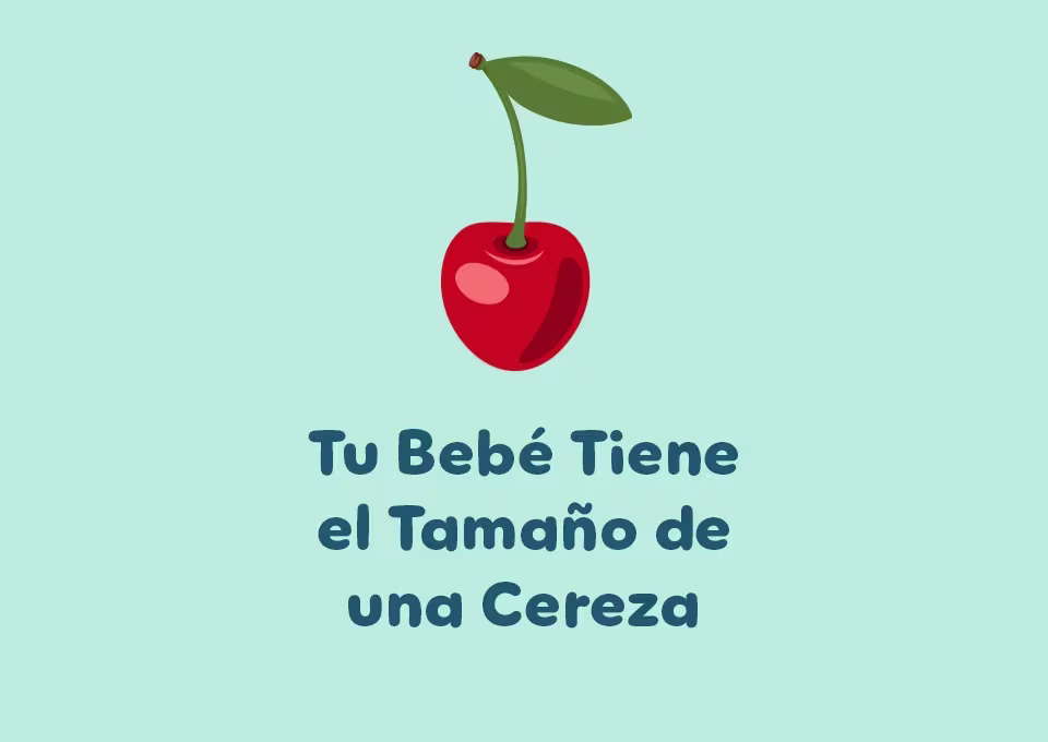 9 semanas de embarazo