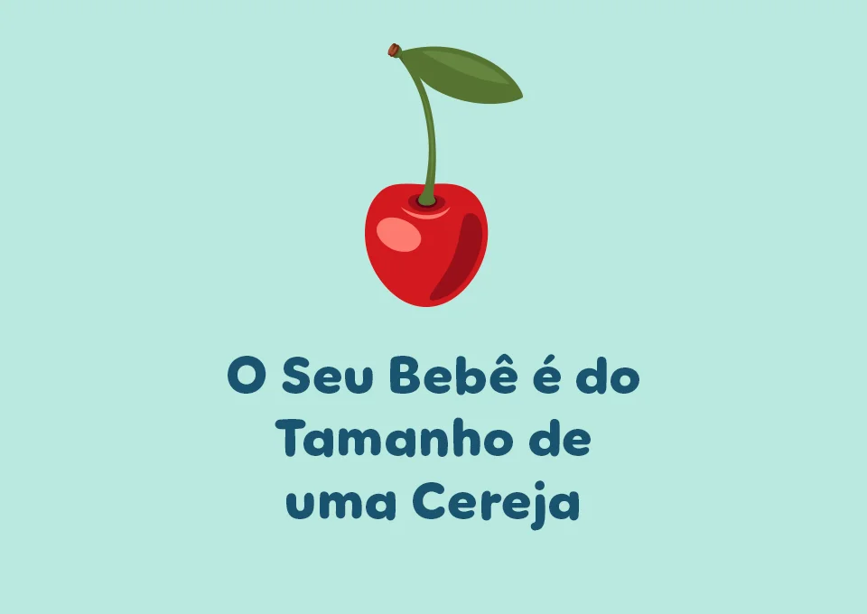 9 semana de gravidez