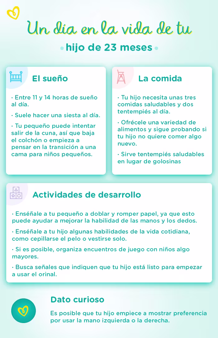 Ehub PampersLATAM Imágenes para nuevos artículos EEUU a day in the life LATAM