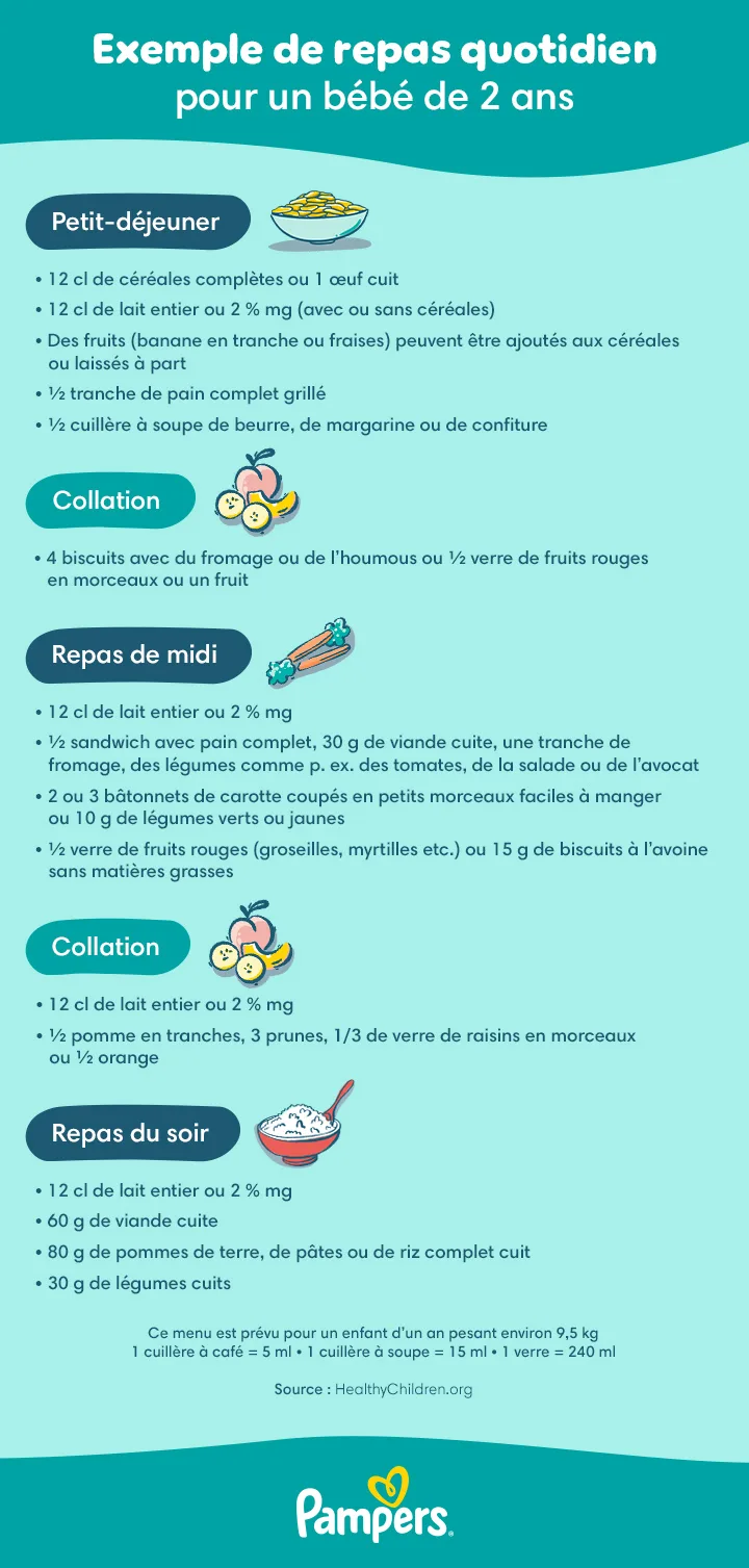 Exemple de repas quotidien pour un bébe de 2ans