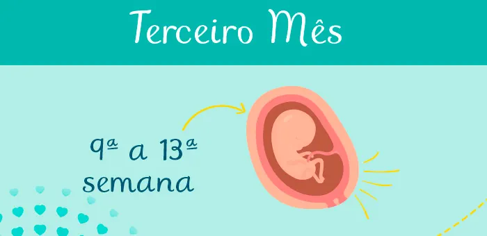 Calendário da Gravidez Terceiro Mês semanas 700x340