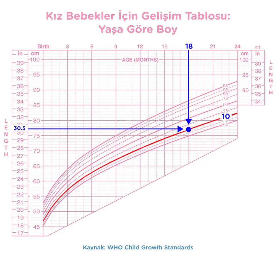 bebek gelisim tablosu-Article Content Image3 Baby-Growth-Chart_girl_TR_Lenght_960