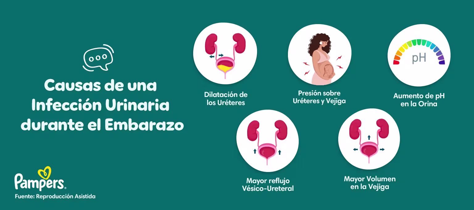 que es micciones en el embarazo