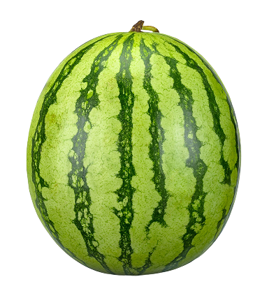 39 Weeks Pregnant Baby Size