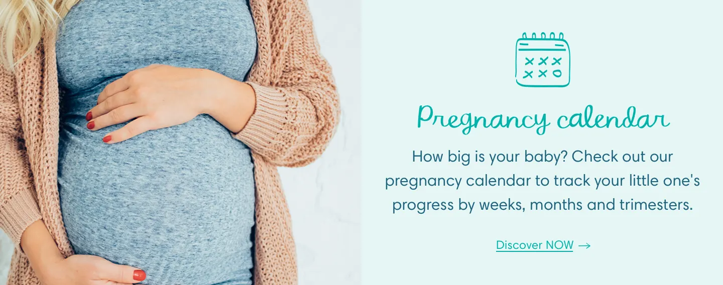 PREGNANCY CALENDAR BANNER