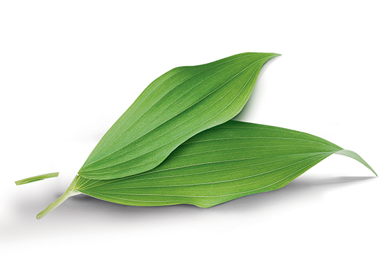 Дитячі вологі серветки Pampers® Pure Protection Кокос