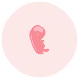 Month 4 Icon
