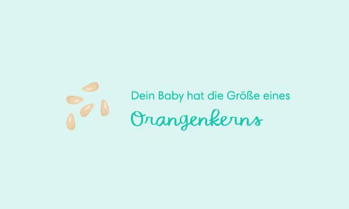 5 wochen schwanger