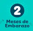 2 meses de embarazo