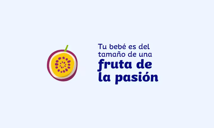 tamaño del feto a las 12 semanas