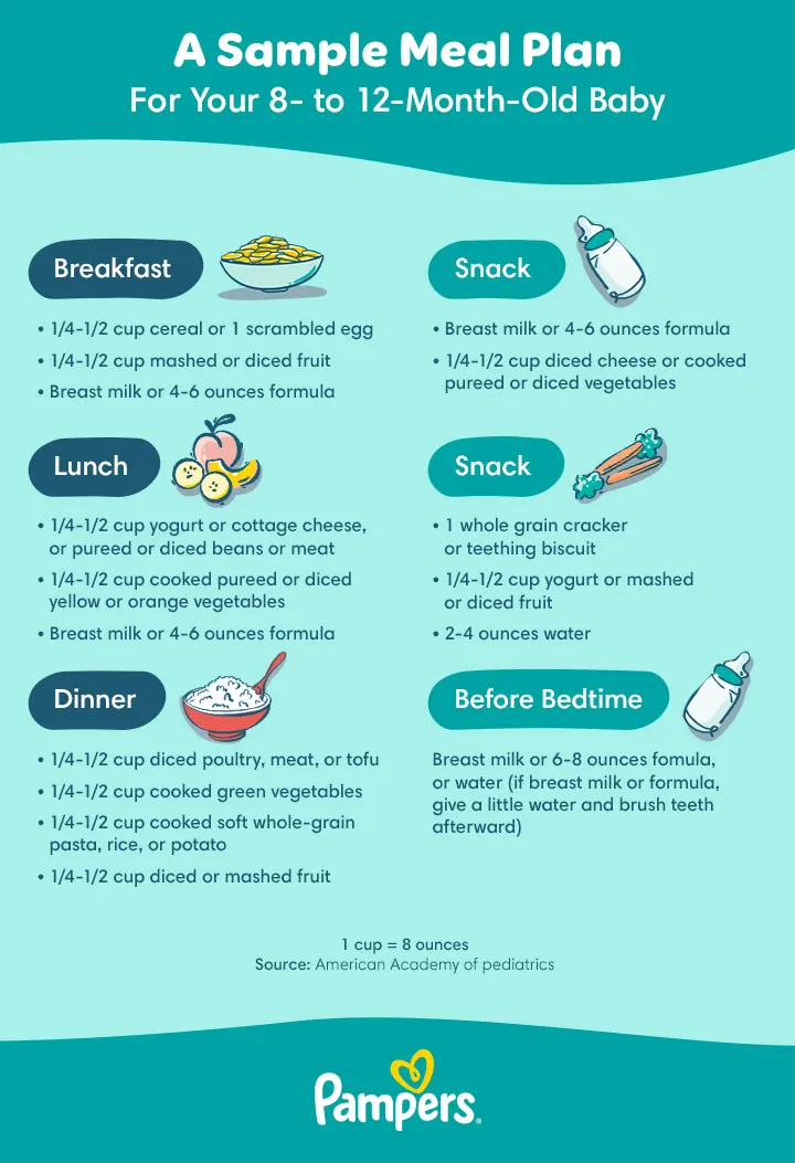Sample meal plan for 8- 12-month-old babies
