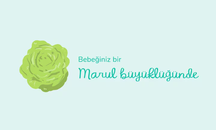 Your baby is the size of a head of lettuce