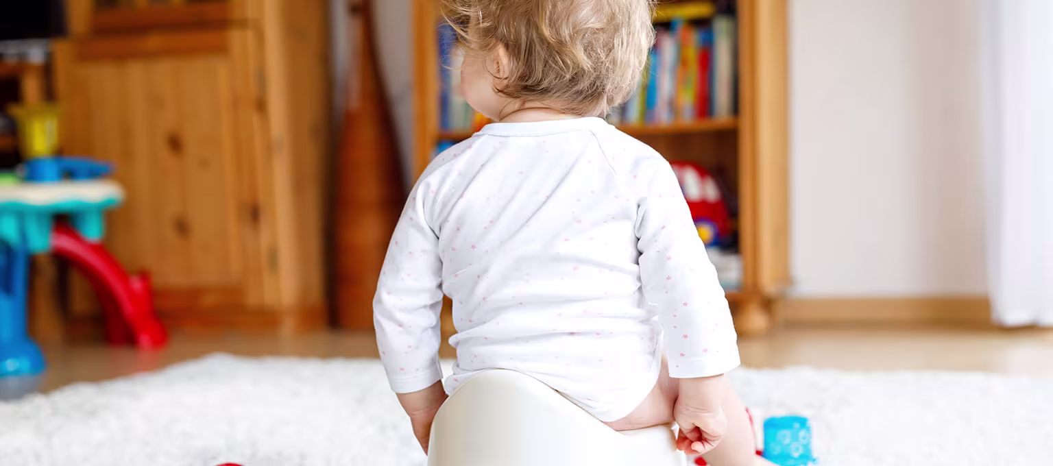 potty training readiness signs