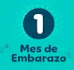 Primer mes de embarazo