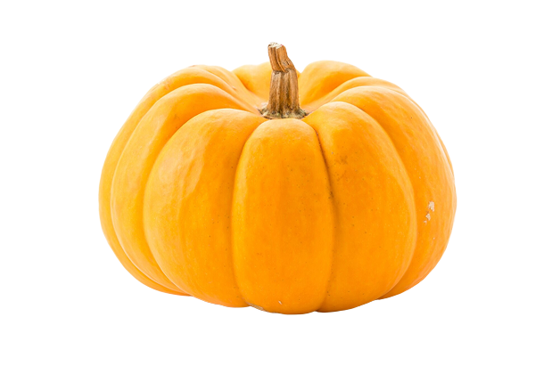 40 Weeks Pregnant Baby Size