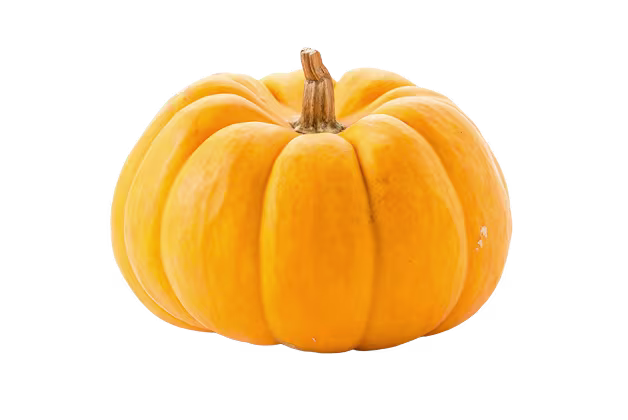 40 Weeks Pregnant Baby Size