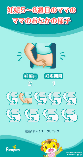 妊娠5週目｜症状と注意点を確認｜パンパース